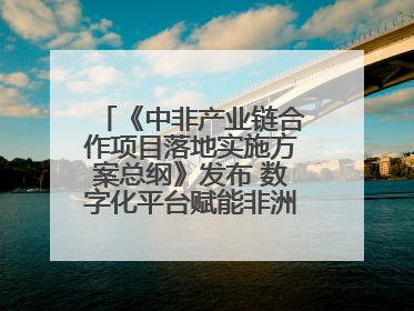 《中非产业链合作项目落地实施方案总纲》发布 数字化平台赋能非洲发展驶入快车道