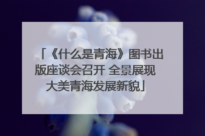 《什么是青海》图书出版座谈会召开 全景展现大美青海发展新貌