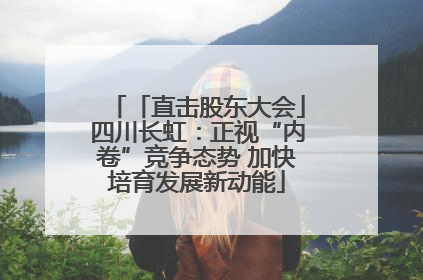 「直击股东大会」四川长虹：正视“内卷”竞争态势 加快培育发展新动能