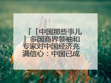 「中国那些事儿」多国商界领袖和专家对中国经济充满信心：中国已成为全球创新中心