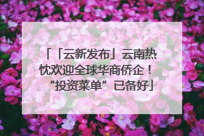 「云新发布」云南热忱欢迎全球华商侨企！“投资菜单”已备好