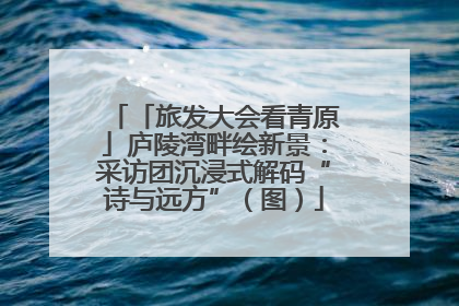 「旅发大会看青原」庐陵湾畔绘新景：采访团沉浸式解码“诗与远方”（图）