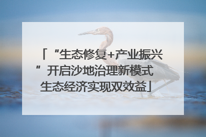 “生态修复+产业振兴”开启沙地治理新模式 生态经济实现双效益
