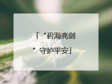 “碧海亮剑”守护平安