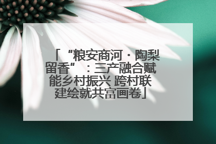 “粮安商河・陶梨留香”：三产融合赋能乡村振兴 跨村联建绘就共富画卷