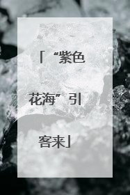 “紫色花海”引客来
