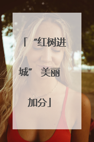 “红树进城” 美丽加分