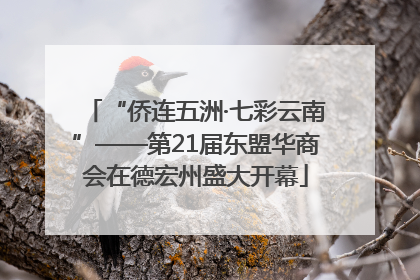 “侨连五洲·七彩云南”——第21届东盟华商会在德宏州盛大开幕