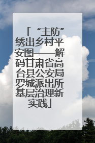 “主防”绣出乡村平安图——解码甘肃省高台县公安局罗城派出所基层治理新实践