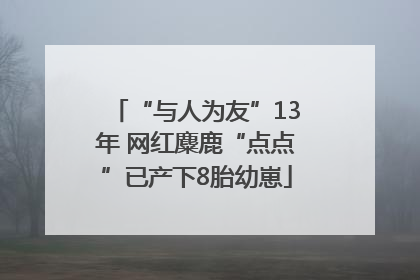 “与人为友”13年 网红麋鹿“点点”已产下8胎幼崽