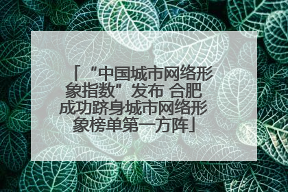“中国城市网络形象指数”发布 合肥成功跻身城市网络形象榜单第一方阵