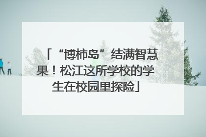“博柿岛”结满智慧果！松江这所学校的学生在校园里探险