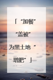 “加餐”“盖被” 为黑土地“增肥”