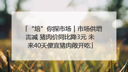 “培”你探市场｜市场供增需减 猪肉价同比降3元 未来40天便宜猪肉敞开吃