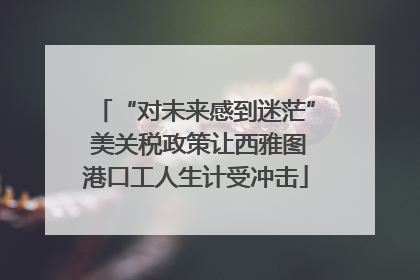 “对未来感到迷茫” 美关税政策让西雅图港口工人生计受冲击