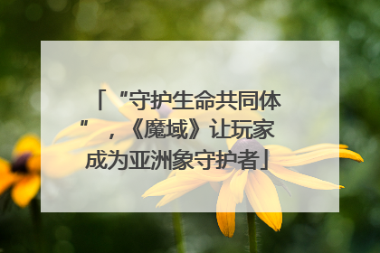 “守护生命共同体”，《魔域》让玩家成为亚洲象守护者