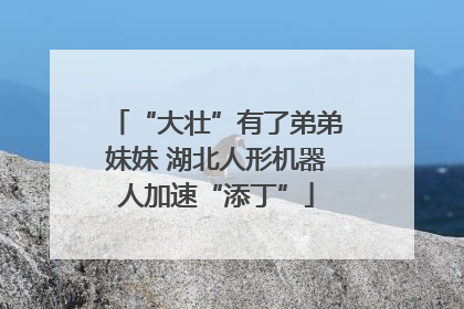 “大壮”有了弟弟妹妹 湖北人形机器人加速“添丁”