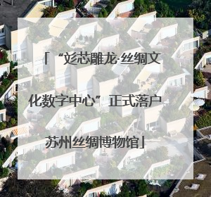 “彣芯雕龙·丝绸文化数字中心”正式落户苏州丝绸博物馆