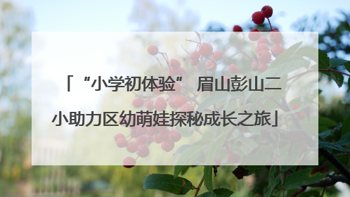 “小学初体验” 眉山彭山二小助力区幼萌娃探秘成长之旅