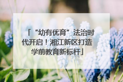 “幼有优育”法治时代开启！湘江新区打造学前教育新标杆