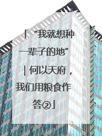“我就想种一辈子的地”｜何以天府，我们用粮食作答②