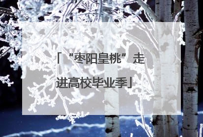 “枣阳皇桃”走进高校毕业季