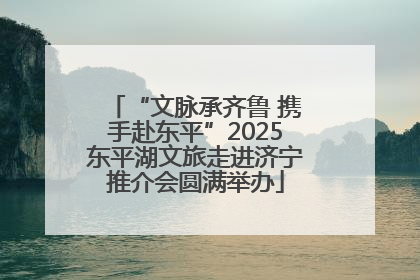 “文脉承齐鲁 携手赴东平”2025东平湖文旅走进济宁推介会圆满举办