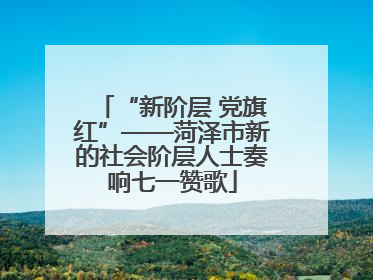 “新阶层 党旗红”——菏泽市新的社会阶层人士奏响七一赞歌