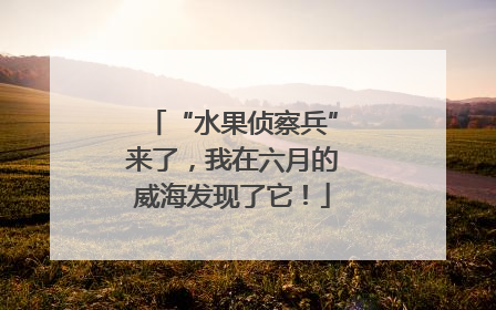 “水果侦察兵”来了，我在六月的威海发现了它！