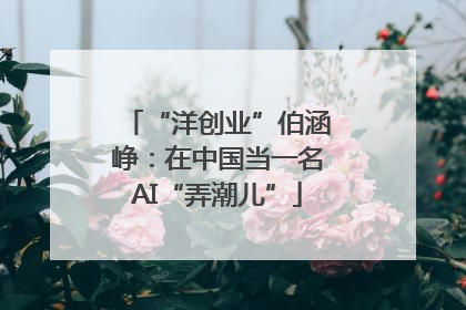 “洋创业”伯涵峥：在中国当一名AI“弄潮儿”