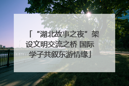 “湖北故事之夜”架设文明交流之桥 国际学子共叙东游情缘