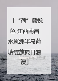 “荷”颜悦色 江西南昌水岚洲半岛荷塘绽放夏日浪漫