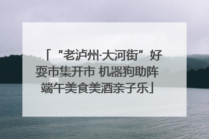 “老泸州·大河街”好耍市集开市 机器狗助阵端午美食美酒亲子乐