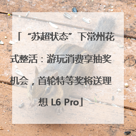 “苏超状态”下常州花式整活：游玩消费享抽奖机会，首轮特等奖将送理想 L6 Pro