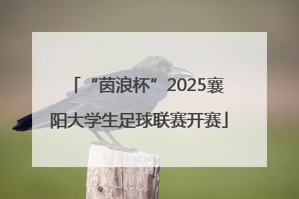 “茵浪杯”2025襄阳大学生足球联赛开赛