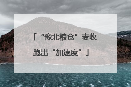 “豫北粮仓”麦收跑出“加速度”