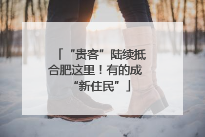 “贵客”陆续抵合肥这里！有的成“新住民”