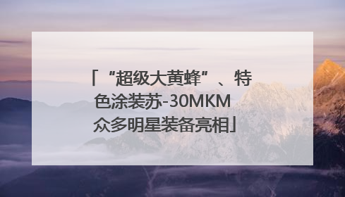 “超级大黄蜂”、特色涂装苏-30MKM 众多明星装备亮相