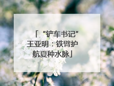 “铲车书记”王亚明：铁臂护航夏种水脉