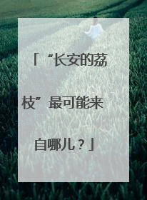“长安的荔枝”最可能来自哪儿？