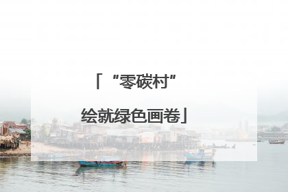 “零碳村” 绘就绿色画卷