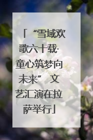 “雪域欢歌六十载·童心筑梦向未来” 文艺汇演在拉萨举行