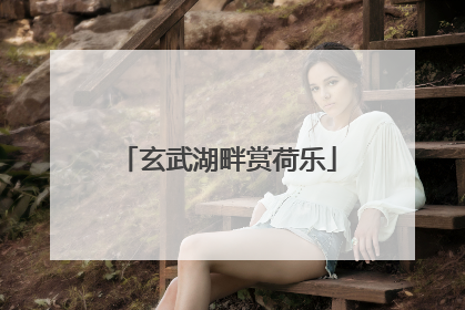 玄武湖畔赏荷乐
