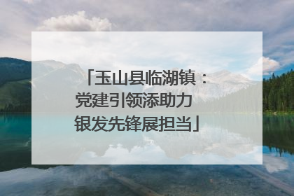 玉山县临湖镇：党建引领添助力 银发先锋展担当