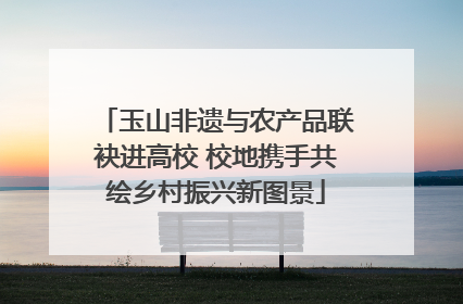 玉山非遗与农产品联袂进高校 校地携手共绘乡村振兴新图景