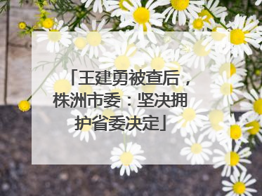 王建勇被查后，株洲市委：坚决拥护省委决定