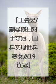 王曼昱/蒯曼横扫对手夺冠，国乒实现世乒赛女双19连冠