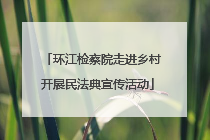 环江检察院走进乡村开展民法典宣传活动