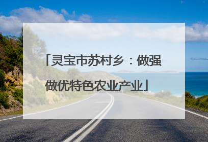 灵宝市苏村乡：做强做优特色农业产业