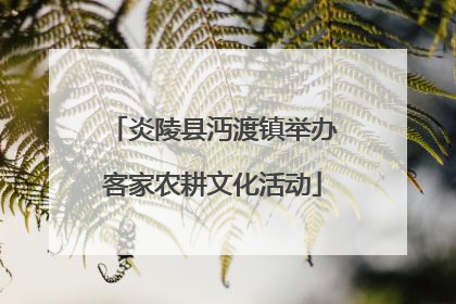 炎陵县沔渡镇举办客家农耕文化活动